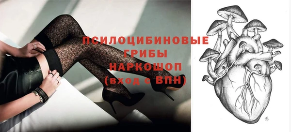 бошки Няндома