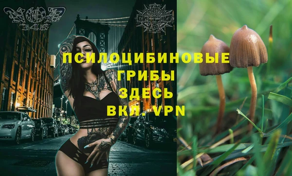 кокаин перу Абаза