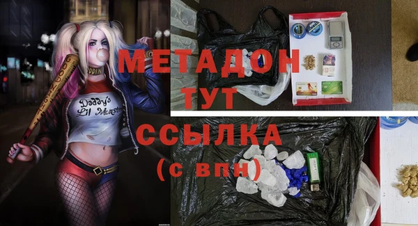 крисы Алексин