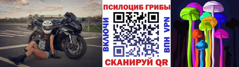Псилоцибиновые грибы Magic Shrooms  маркетплейс телеграм  KRAKEN tor  Калининград  сколько стоит 